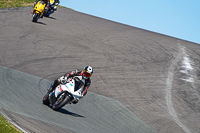 Middle Group White Bikes